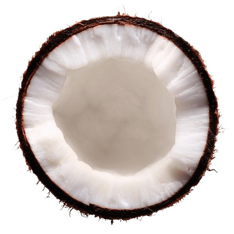 Coconut