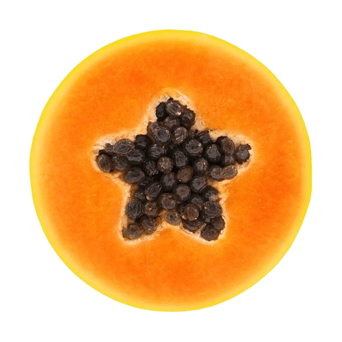 Papaya